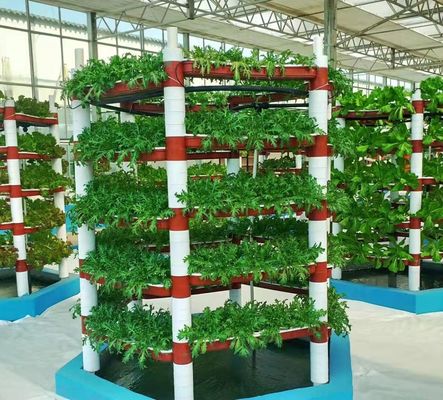 Pflanzen/Gemüse/Frucht/Blumen-Kontrollumgebung Hydroponisches Pflanzen-Gewächshaus