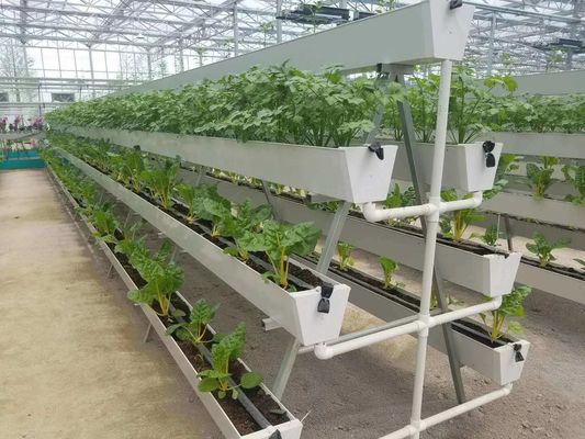 Pflanzen/Gemüse/Frucht/Blumen-Kontrollumgebung Hydroponisches Pflanzen-Gewächshaus