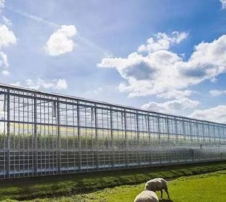 Pflanzen/Gemüse/Frucht/Blumen-Kontrollumgebung Hydroponisches Pflanzen-Gewächshaus