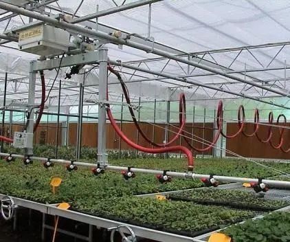 Pflanzen/Gemüse/Frucht/Blumen-Kontrollumgebung Hydroponisches Pflanzen-Gewächshaus