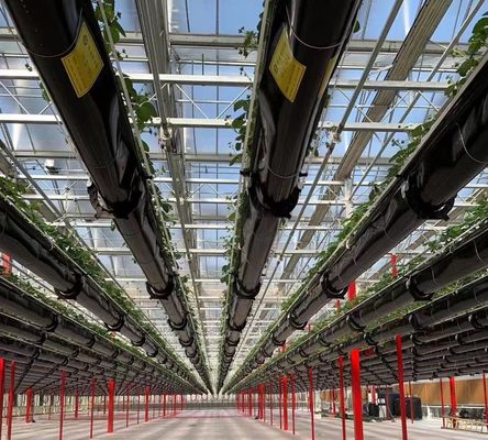 Anti-Tropfen-Nebelung Hydroponische Sämlingsstruktur perfekt für Kundenanforderungen
