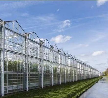 Anti-Tropfen-Nebelung Hydroponische Sämlingsstruktur perfekt für Kundenanforderungen