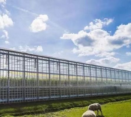 Anti-Tropfen-Nebelung Hydroponische Sämlingsstruktur perfekt für Kundenanforderungen