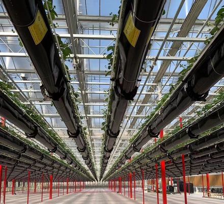 Anbaumethode Hydroponik US Reguliertes Glas Gewächshaus für Gemüse/Blume/Frucht