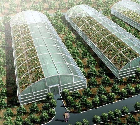 Anbaumethode Hydroponik US Reguliertes Glas Gewächshaus für Gemüse/Blume/Frucht