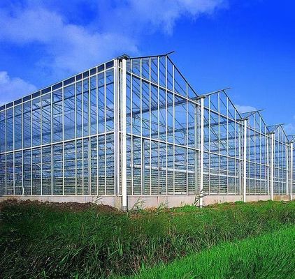 Anbaumethode Hydroponik US Reguliertes Glas Gewächshaus für Gemüse/Blume/Frucht