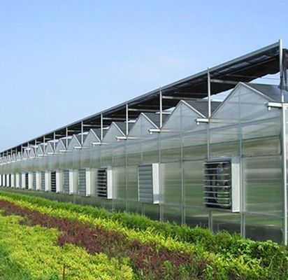 Anbaumethode Hydroponik US Reguliertes Glas Gewächshaus für Gemüse/Blume/Frucht
