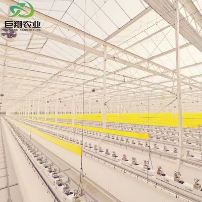 Polykarbonatblech Gewächshaus Gewächshaus Rdgu0808h-10mm mit US- und Landwirtschaftsgeräten
