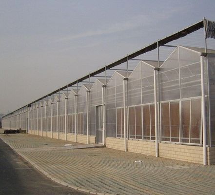 Polykarbonatblech Gewächshaus Gewächshaus Rdgu0808h-10mm mit US- und Landwirtschaftsgeräten