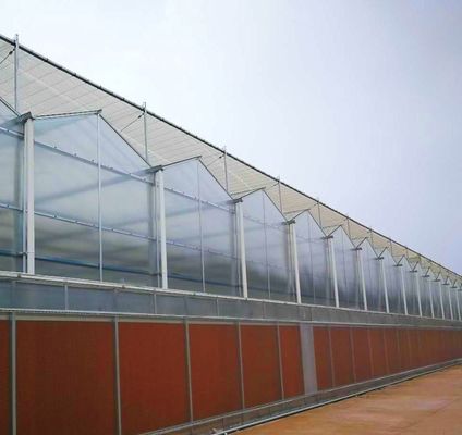 Polykarbonatblech Gewächshaus Gewächshaus Rdgu0808h-10mm mit US- und Landwirtschaftsgeräten