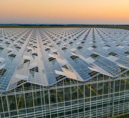Polykarbonatblech Gewächshaus Gewächshaus Rdgu0808h-10mm mit US- und Landwirtschaftsgeräten