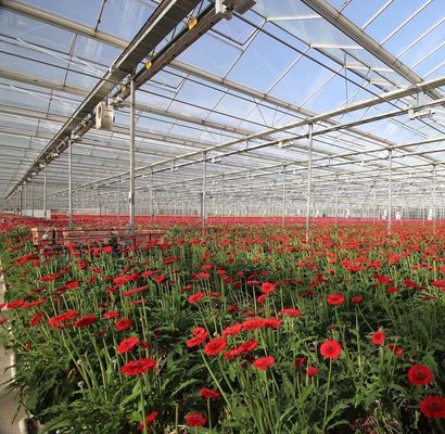 Polykarbonatblech Gewächshaus Gewächshaus Rdgu0808h-10mm mit US- und Landwirtschaftsgeräten