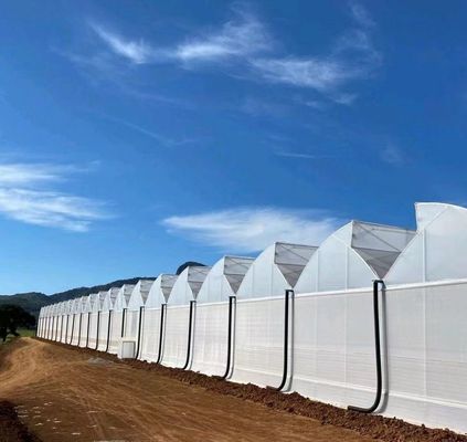Doppelschicht-Hydroponische Pflanzensystem für Landwirtschaft aus Kunststofffolie