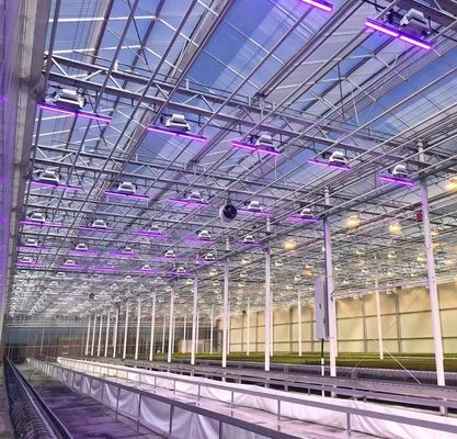 Doppelschicht-Hydroponische Pflanzensystem für Landwirtschaft aus Kunststofffolie