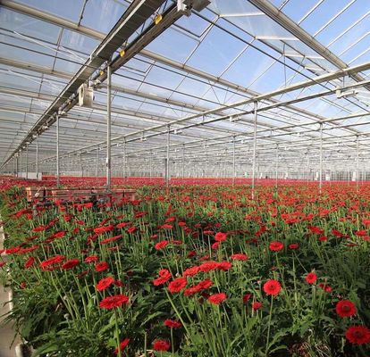 Doppelschicht-Hydroponische Pflanzensystem für Landwirtschaft aus Kunststofffolie