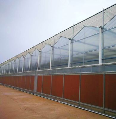 Doppelschicht-Hydroponische Pflanzensystem für Landwirtschaft aus Kunststofffolie