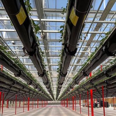Doppelschicht-Hydroponische Pflanzensystem für Landwirtschaft aus Kunststofffolie